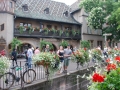 Colmar