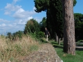 DSC_2060 - Copie