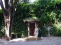 janeviaappia
